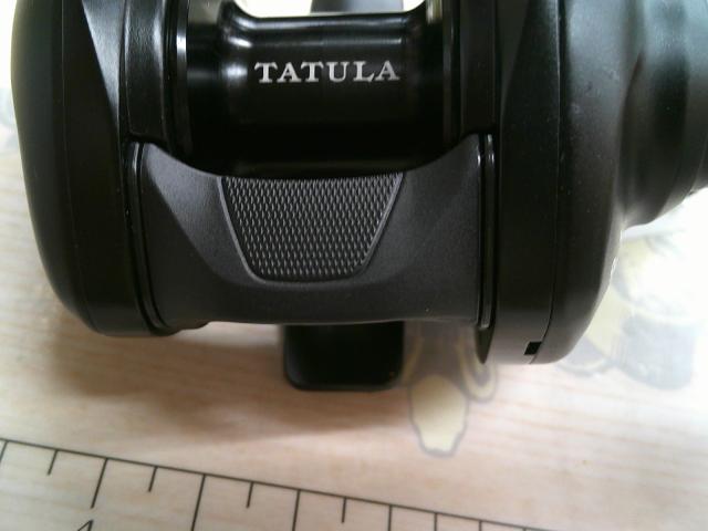 24タトゥーラ TW 100XH