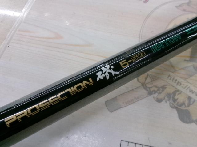 プロセクション磯 5-53エントウ