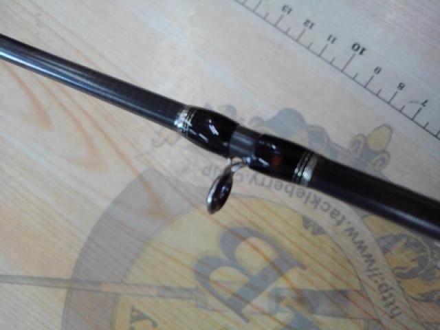 タチウオBB 82-195