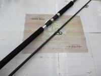 19ソルティーアドバンスショアジギング 100H