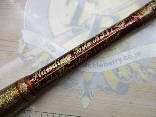 剛樹GハンティングスタンディングバイトNS17 1.7m LINE8-40 WEIGHT70-300