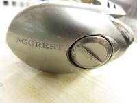 アグレスト 100HL