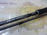 18ディアルーナ S96ML