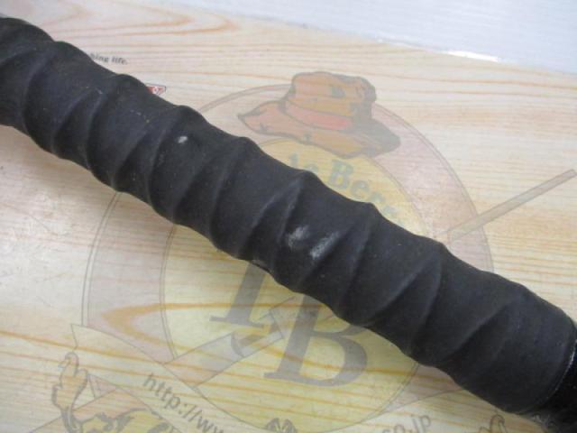 インストラクター鯉スペシャルアラミカ 520