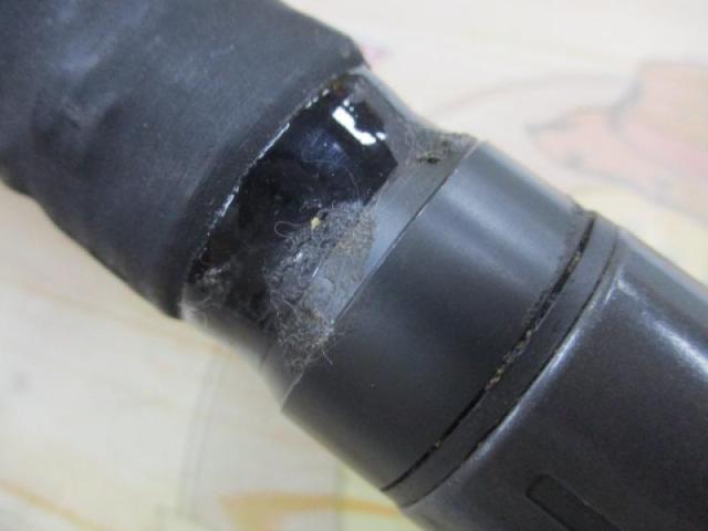 インストラクター鯉スペシャルアラミカ 520