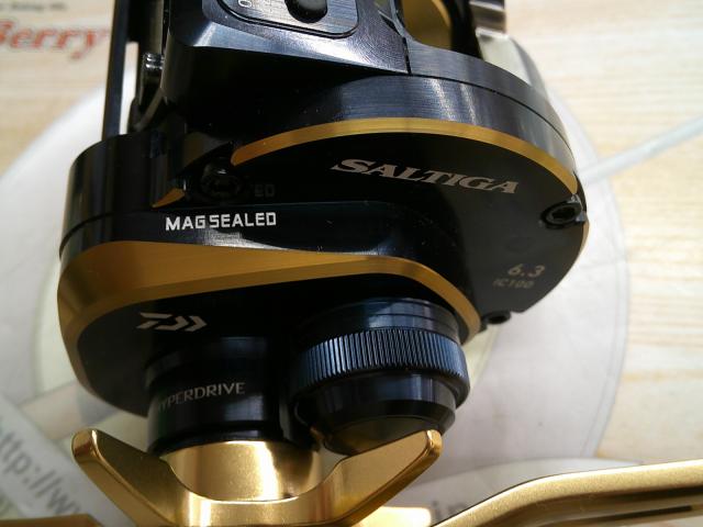 21ソルティガIC 100L