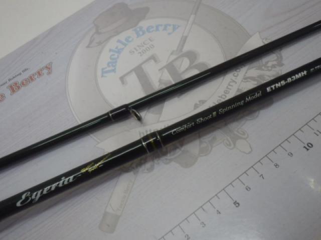 エゲリア ETNS-83MH