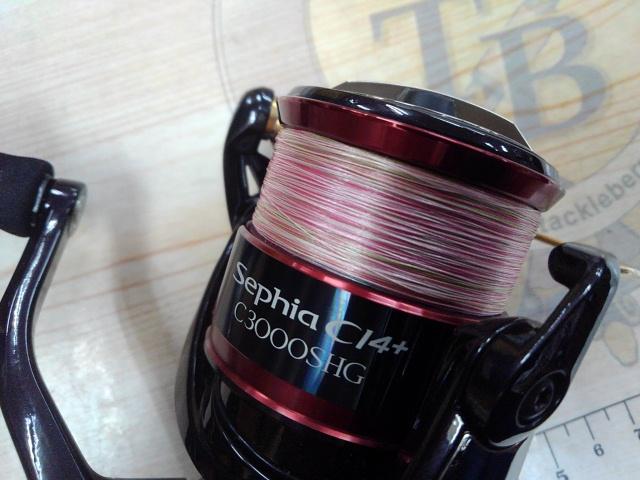 17セフィアCI4+ C3000SHG