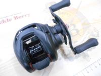 タトゥーラ TW 100SH