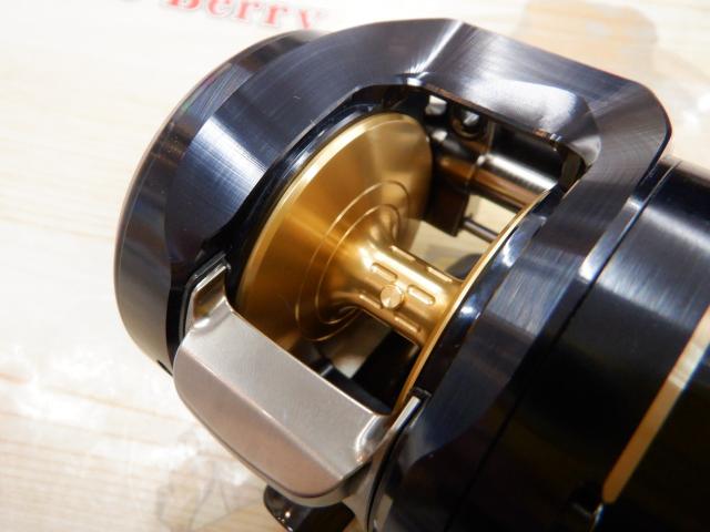 25ソルティガ 300H