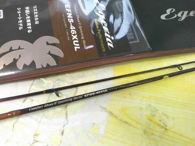 エゲリア EFNS-46XUL