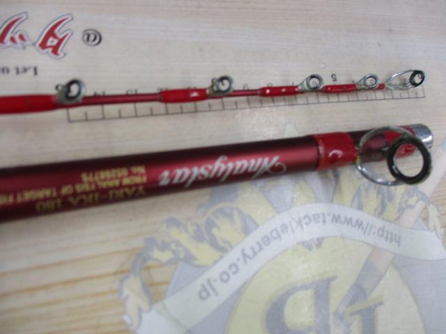 アナリスター ヤリイカ 180