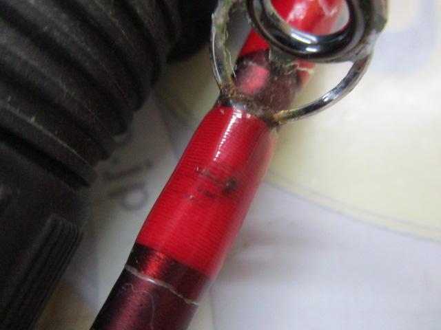 アナリスター ヤリイカ 180