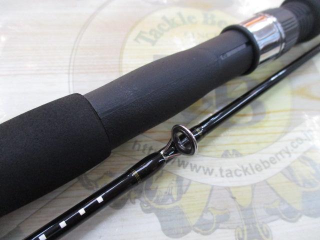 早舟V 120アオリ