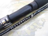 早舟V 120アオリ