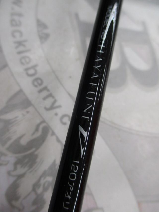 早舟V 120アオリ