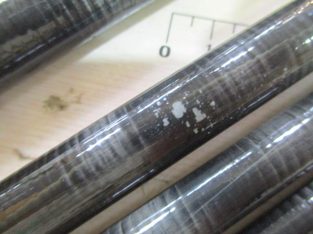 純世紀SS鮎中硬81プロセクション