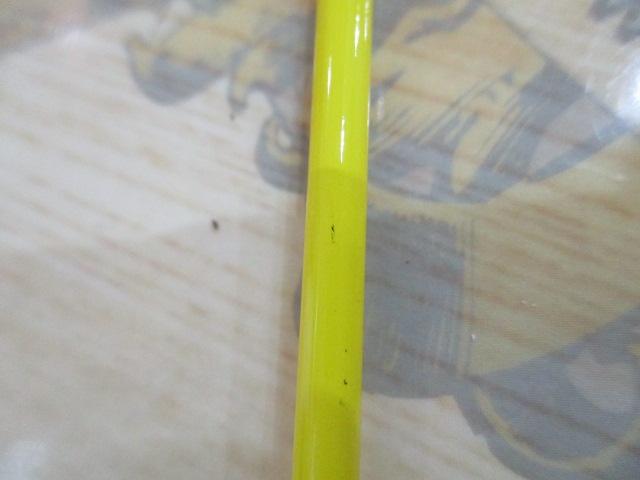 エッグキャストタフィ 110 シトラスオレンジ