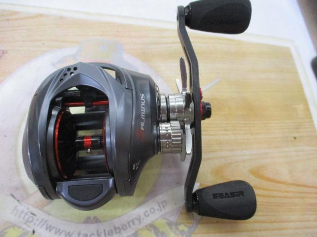 ソルミナスジャイアントバスター