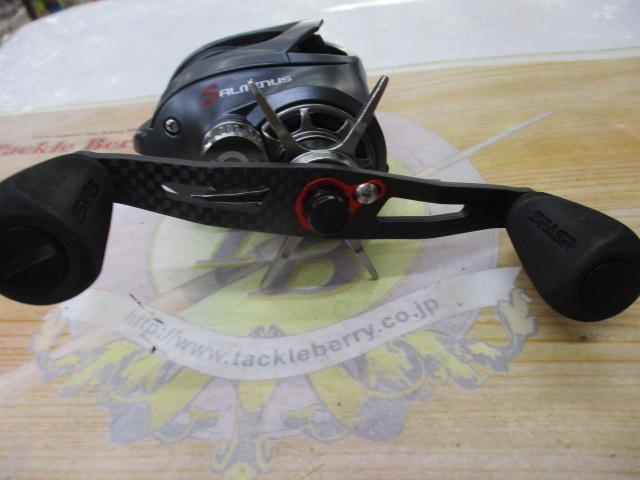 ソルミナスジャイアントバスター