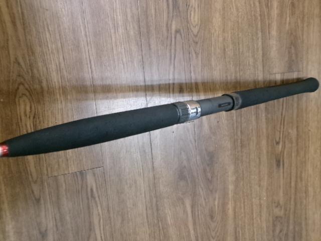 ベイリアウタセマダイ 275