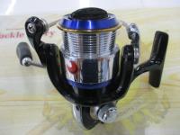 インフィート月下美人 2004