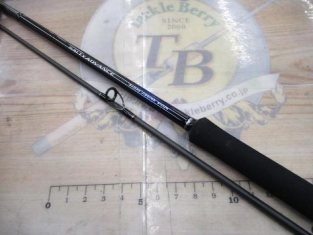 19ソルティーアドバンスショアジギング 100M