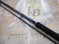 19ソルティーアドバンスショアジギング 100M