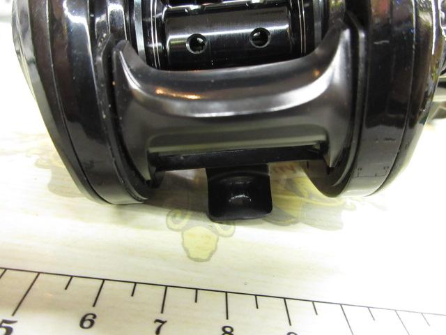 マックスDLC BG H