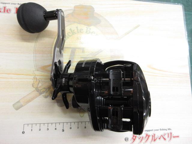 マックスDLC BG H