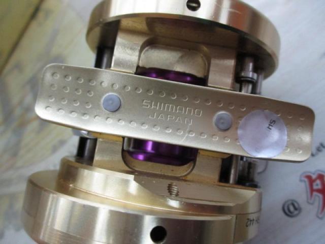 01カルカッタコンクエスト 100