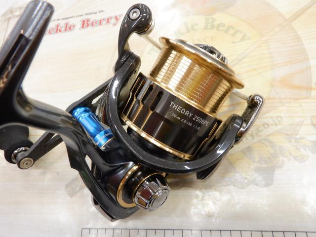 17セオリー 2508PE