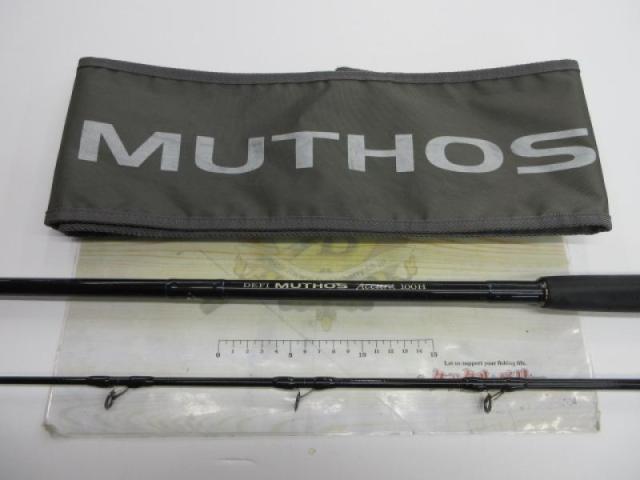 デフィーミュートス DMアキュラ 100H (RGモデル/RV)