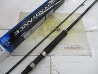 19ソルティーアドバンスショアジギング 100M