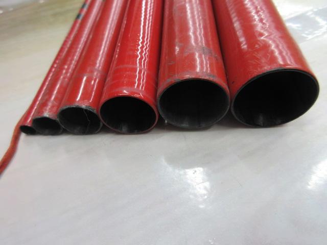 がま鮎引抜早瀬81