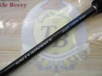 19ソルティーアドバンスショアジギング 100M