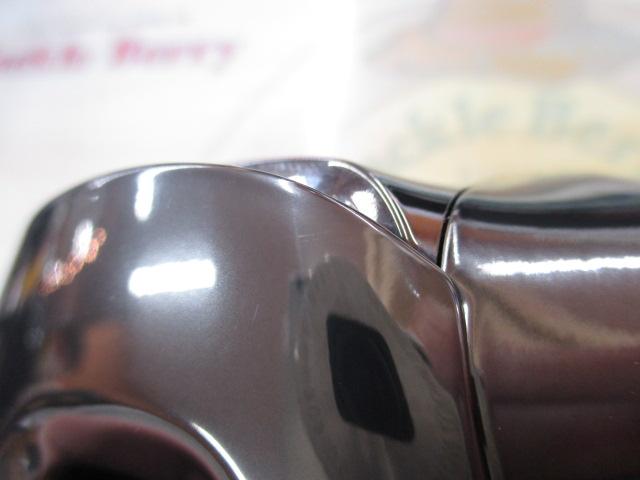 25アンタレス 100XG