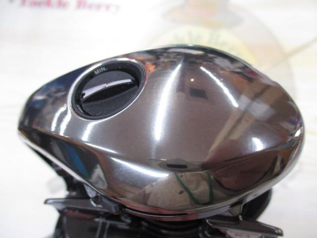 25アンタレス 100XG