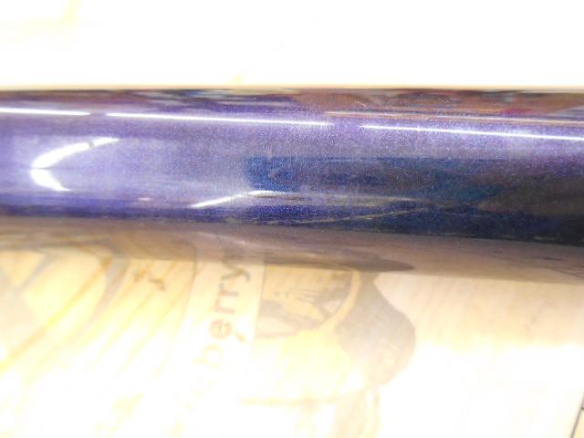 エリアマスター鮎 激流81