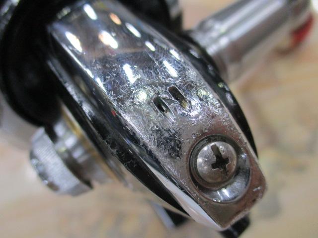 インフィート月下美人 2004