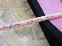 エクスタンZ ebtz-60UL ハル