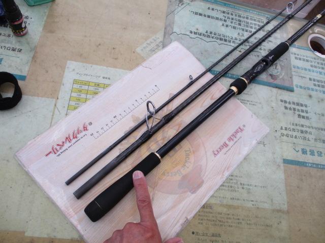 ネッサCI4+ S1008MMH