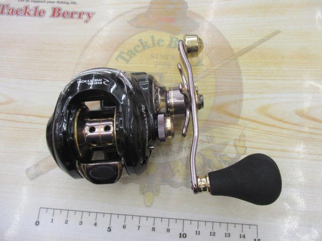 リアルメソッドギガソルトPG RH