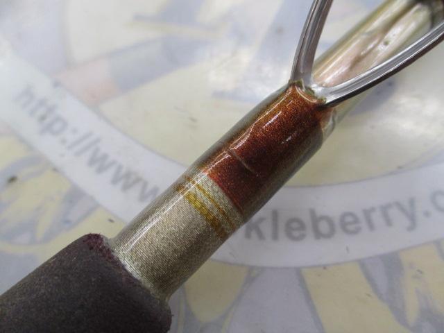 リーオマスター真鯛 300TSP