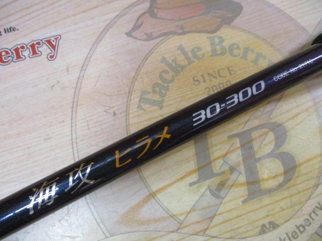 海攻ヒラメ 30-300