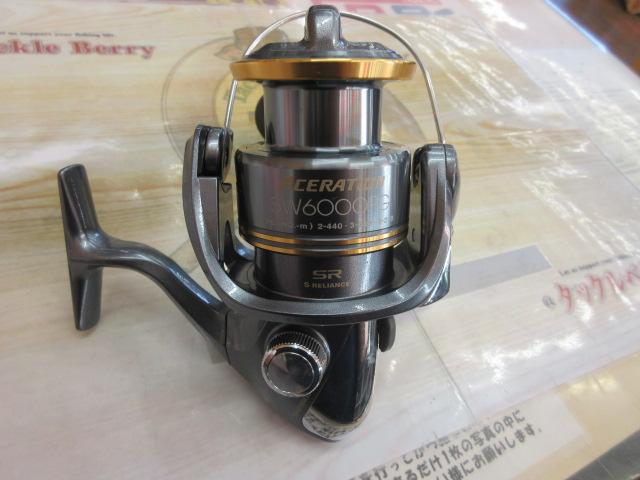 アセレーションSW 6000PG