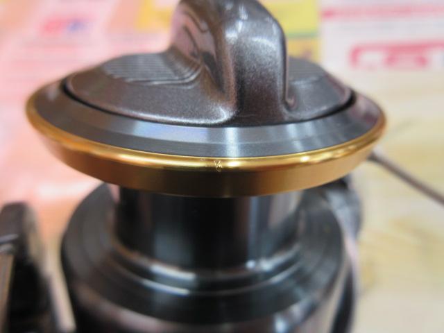 アセレーションSW 6000PG