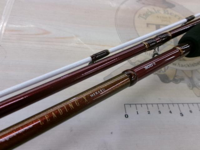 リーディング-X メバル 300(2)