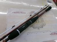 リーディング-X メバル 300(2)