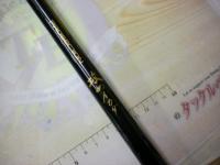 竹心竿攻めイカダ 大チヌ210